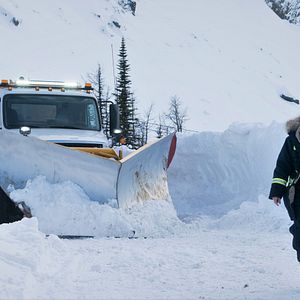 Foto Vingança a Sangue Frio