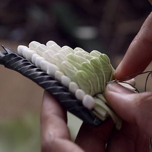 Foto Malila - A Flor do Adeus