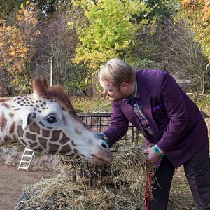 Foto Meu Amigo é uma Girafa