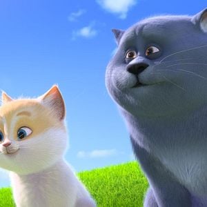 Foto Cats e a Gatolândia