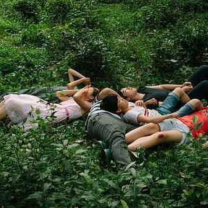 Foto Pássaros do Subúrbio