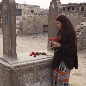 Foto Rosas Venenosas