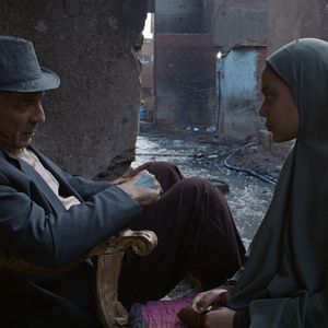 Foto Rosas Venenosas