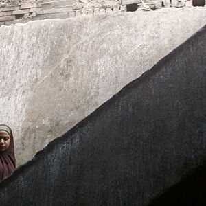 Foto Rosas Venenosas