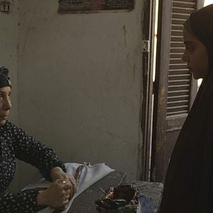 Foto Rosas Venenosas