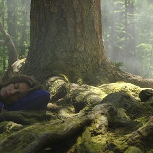 Foto Cécile de France