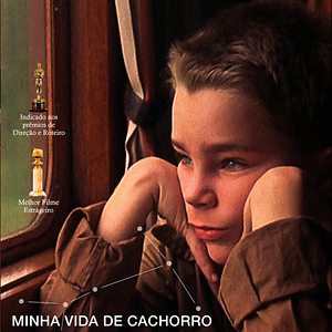 Foto Mitt liv som hund