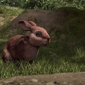 Foto Watership Down
