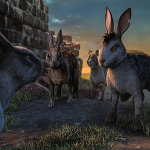 Foto Watership Down