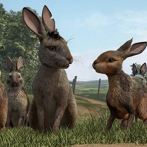 Foto Watership Down
