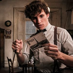Foto Animais Fantásticos: Os Crimes de Grindelwald