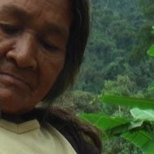 Foto Guardiões da Memória