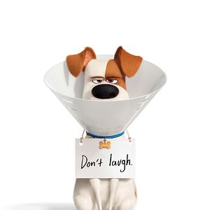 Foto Pets - A Vida Secreta dos Bichos 2