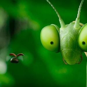 Foto Minuscule 2 - Les Mandibules du Bout du Monde