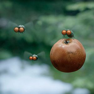 Foto Minuscule 2 - Les Mandibules du Bout du Monde