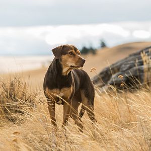 Foto A Caminho de Casa