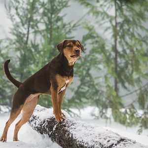 Foto A Caminho de Casa