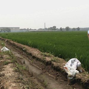 Foto Letter from Masanjia