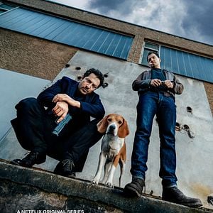 Foto Cães de Berlim