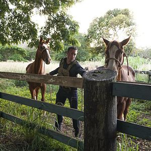 Foto Alex O'Loughlin