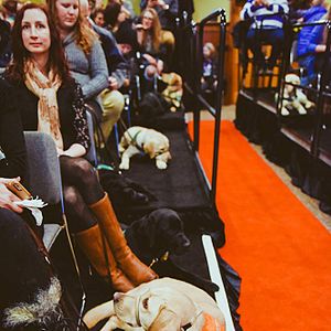 Foto Pick of the Litter