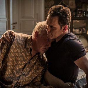 Foto Head Full Of Honey