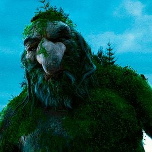 Foto O Rei da Montanha