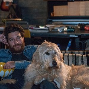 Foto Nossa Vida com Cães