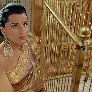 Foto O Tigre da Índia