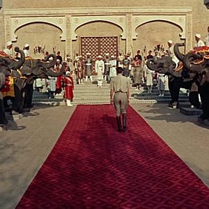 Foto O Tigre da Índia