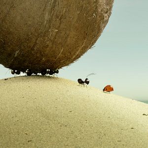 Foto Minuscule 2 - Les Mandibules du Bout du Monde