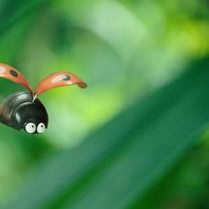 Foto Minuscule 2 - Les Mandibules du Bout du Monde