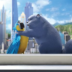 Foto Cats e a Gatolândia