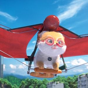 Foto Cats e a Gatolândia