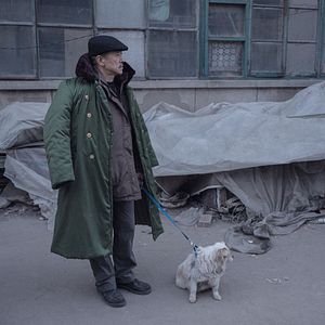 Foto Um Elefante Sentado Quieto