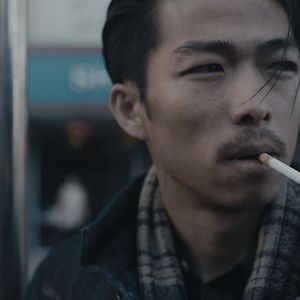 Foto Um Elefante Sentado Quieto