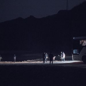 Foto Um Elefante Sentado Quieto