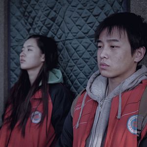 Foto Um Elefante Sentado Quieto