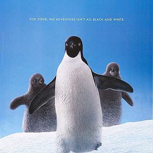 Foto Penguins