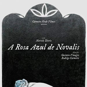 Foto A Rosa Azul de Novalis