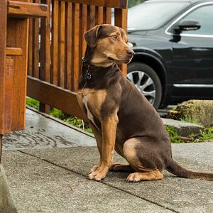Foto A Caminho de Casa