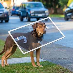 Foto A Caminho de Casa