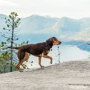 Foto A Caminho de Casa