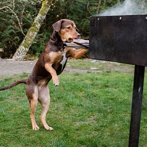 Foto A Caminho de Casa