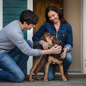 Foto A Caminho de Casa
