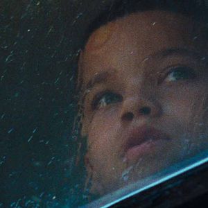 Foto Nós, os Animais