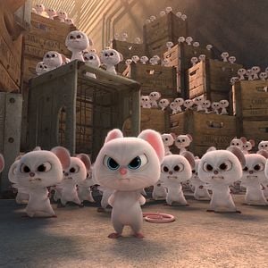 Foto O Que Será de Nozes 2