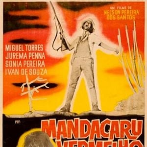 Foto Mandacaru Vermelho