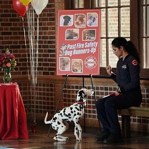 Foto Miranda Rae Mayo