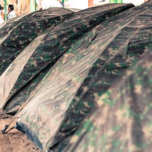 Foto Coração que Acolhe